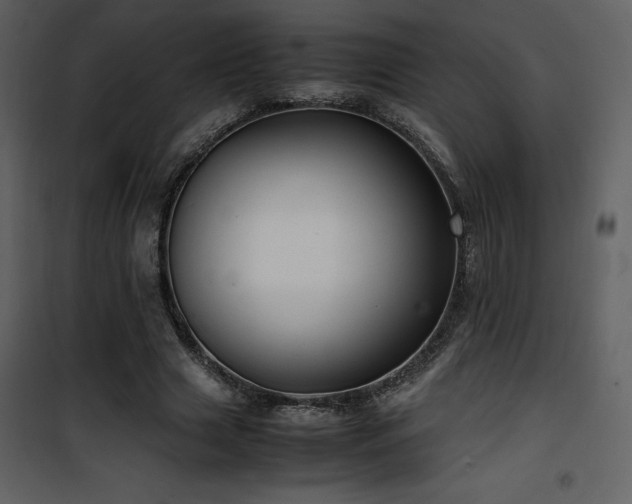 X0000102010633200807181229