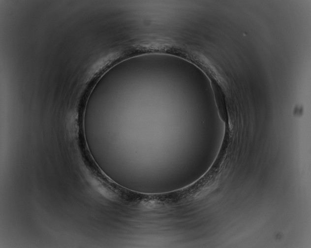 X0000102010634200807181229