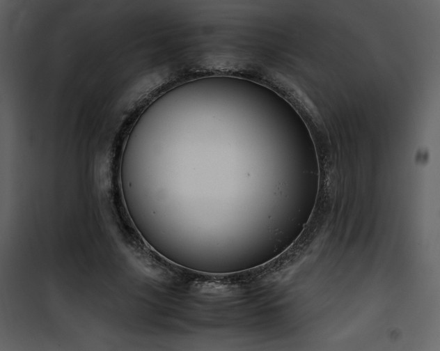 X0000102010635200807181229