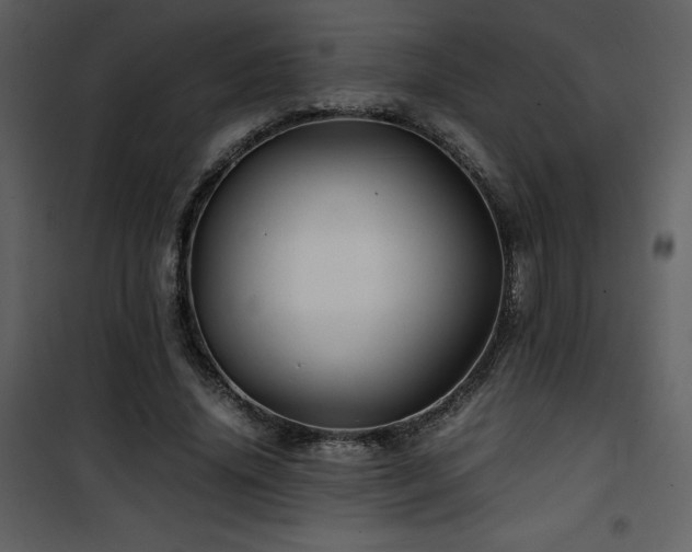 X0000102010636200807181229