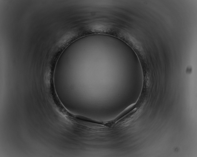 X0000102010637200807181229
