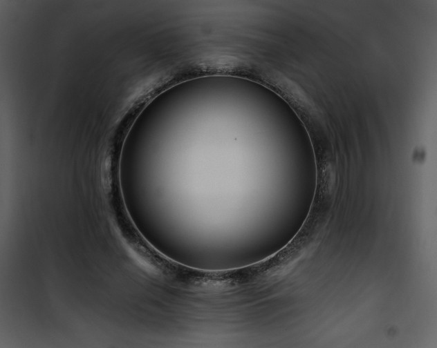 X0000102010638200807181229