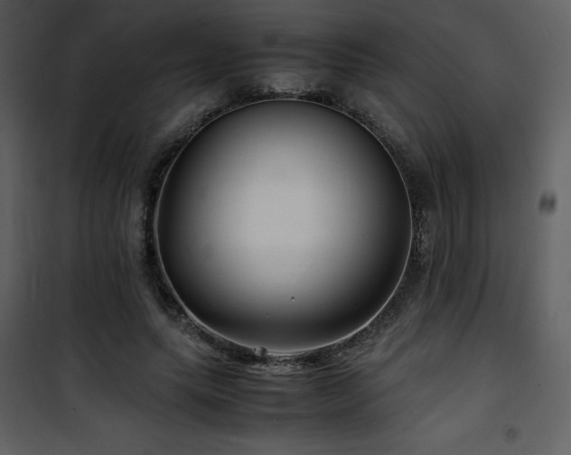 X0000102010639200807181229