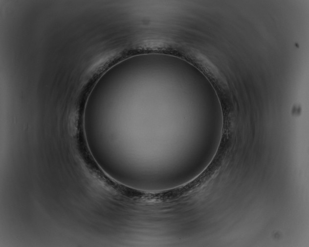 X0000102010640200807181229