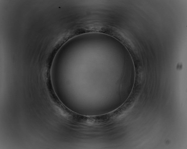 X0000102010641200807181229