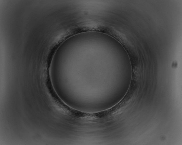 X0000102010642200807181229