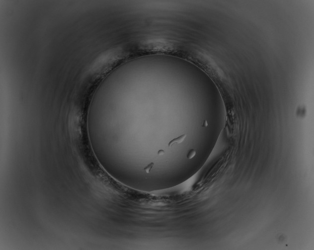 X0000102010643200807181229