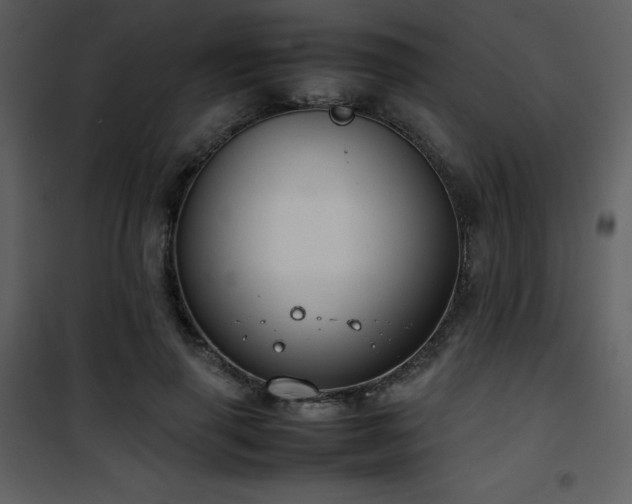 X0000102010645200807181229