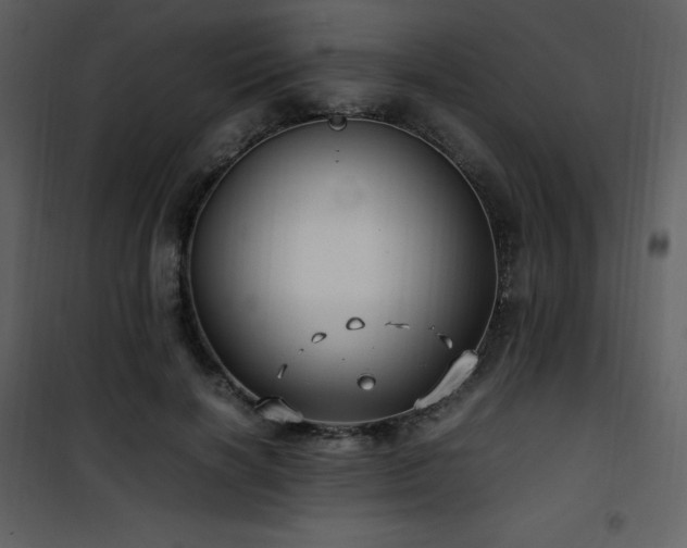 X0000102010646200807181229