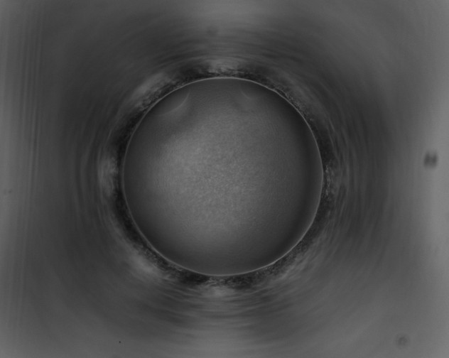 X0000102010648200807181229