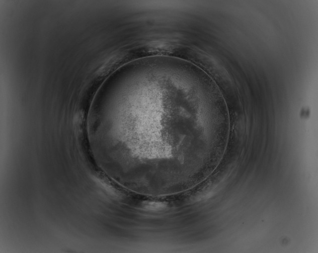 X0000102010649200807181229