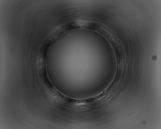 X0000102010651200807181229