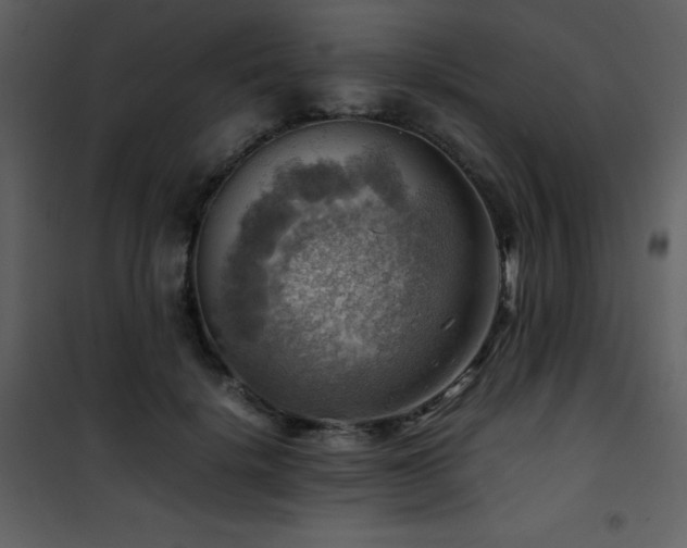 X0000102010652200807181229