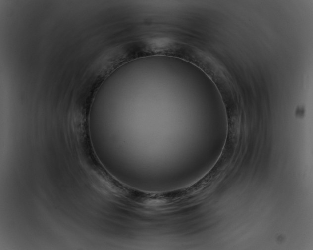 X0000102010653200807181229