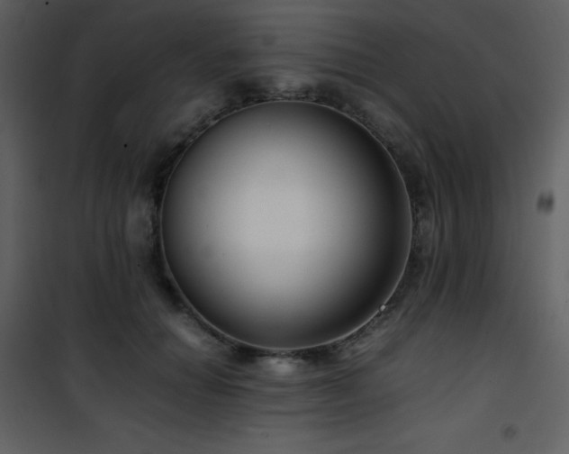 X0000102010654200807181229