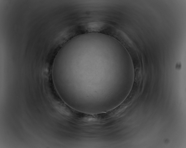 X0000102010655200807181229