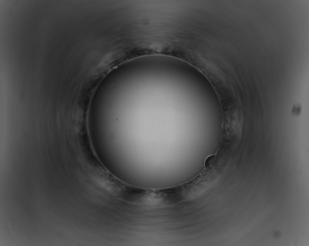 X0000102010656200807181229