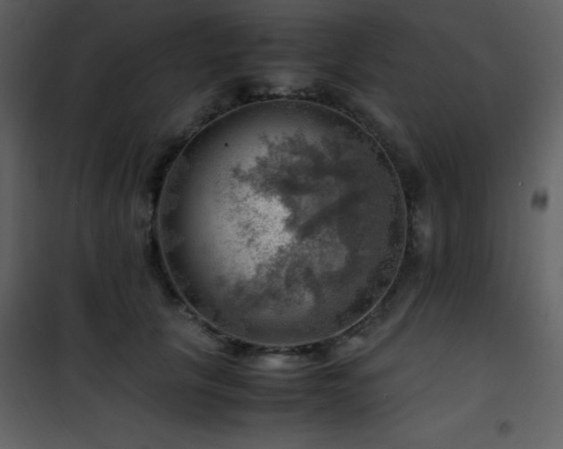X0000102010657200807181229