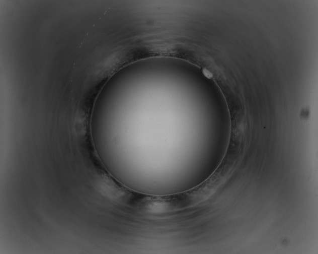 X0000102010658200807181229