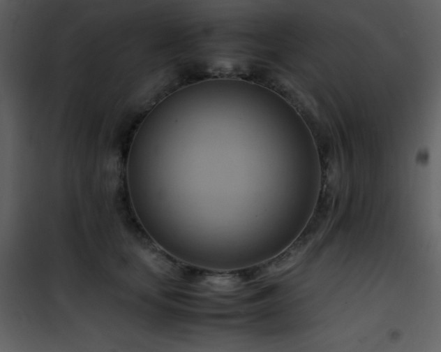 X0000102010659200807181229