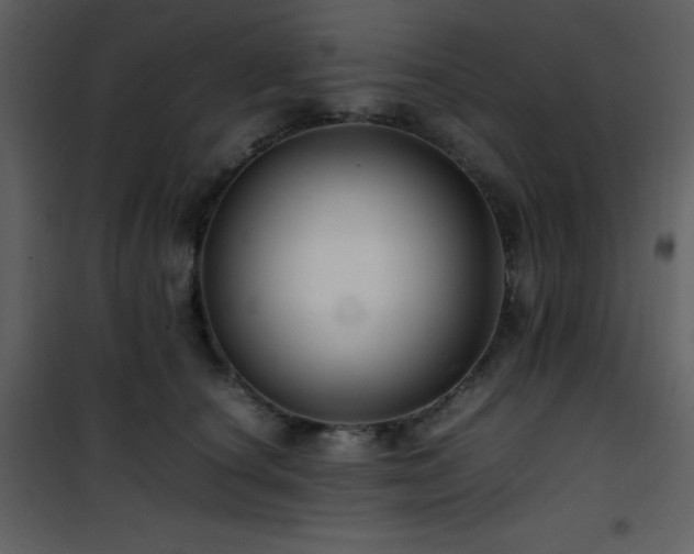 X0000102010660200807181229