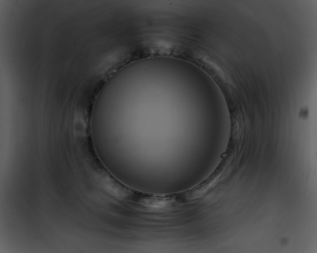 X0000102010661200807181229