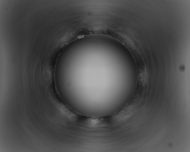 X0000102010662200807181229