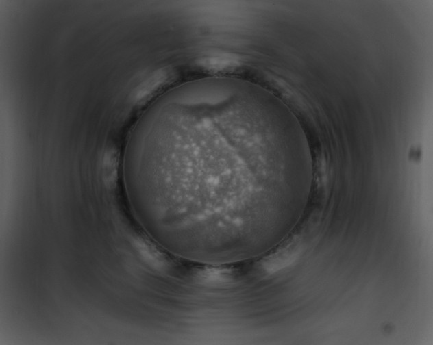 X0000102010664200807181229
