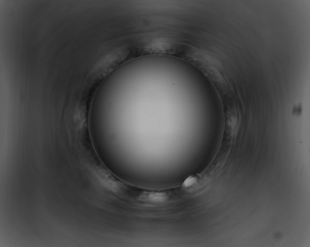 X0000102010665200807181229