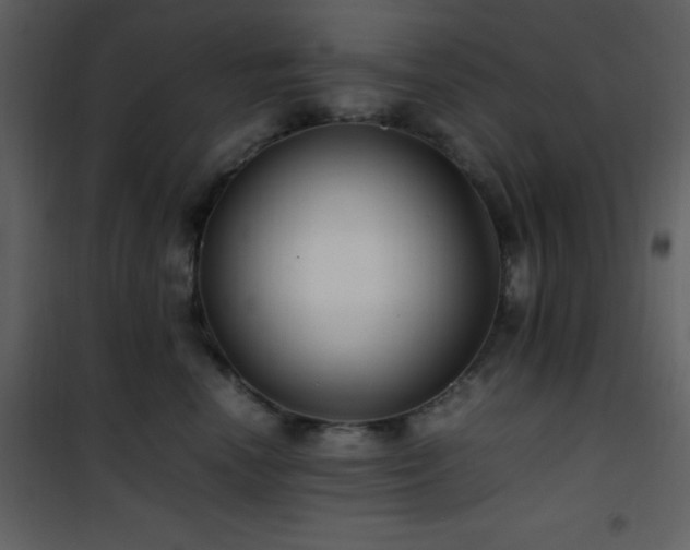 X0000102010666200807181229