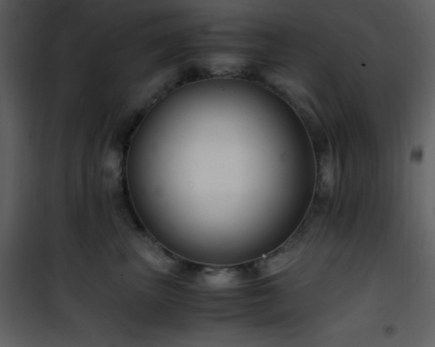 X0000102010667200807181229