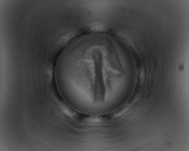 X0000102010668200807181229