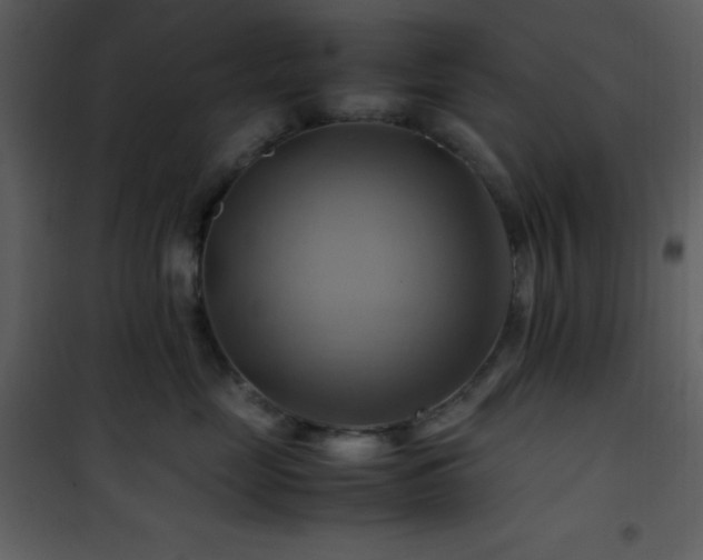 X0000102010669200807181229