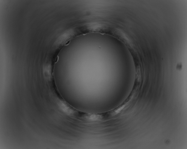 X0000102010670200807181229