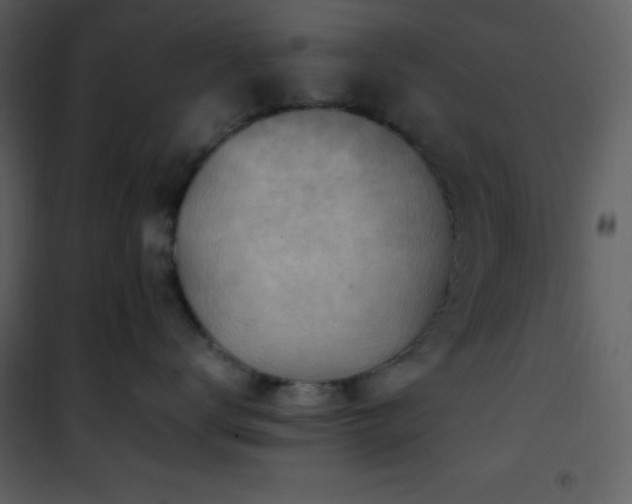X0000102010672200807181230
