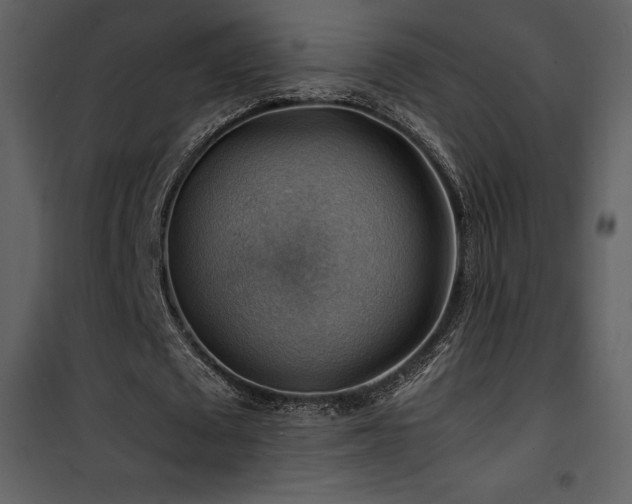 X0000102010673200807181229