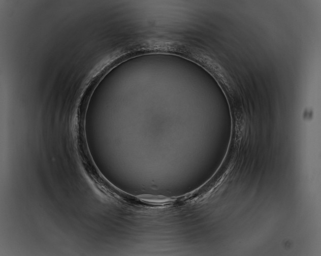 X0000102010674200807181229