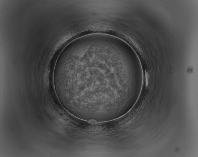 X0000102010675200807181229