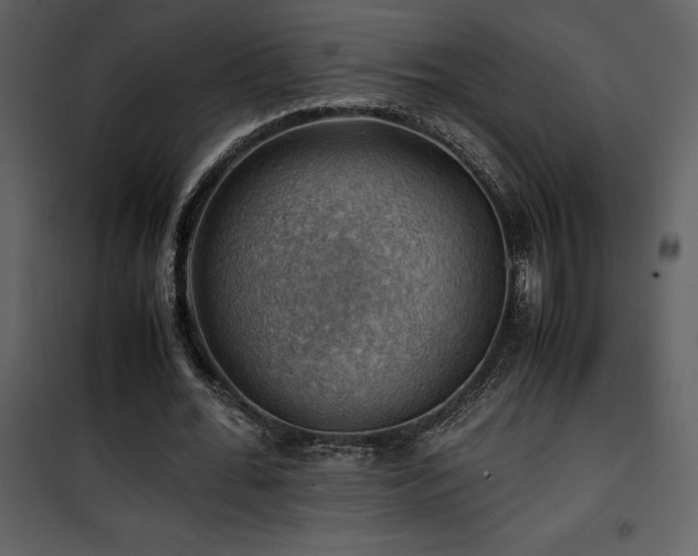 X0000102010676200807181229