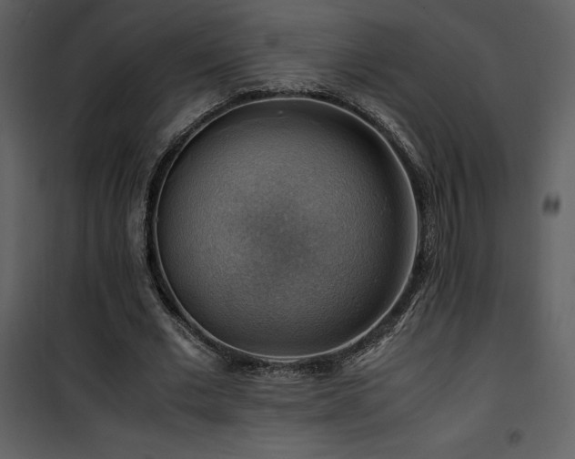 X0000102010677200807181229