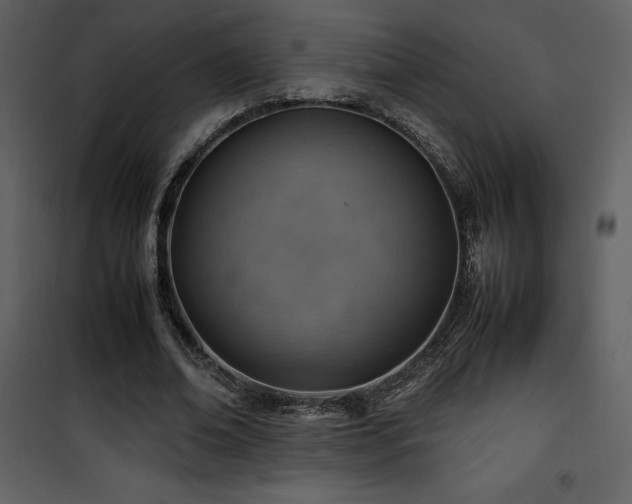 X0000102010678200807181229