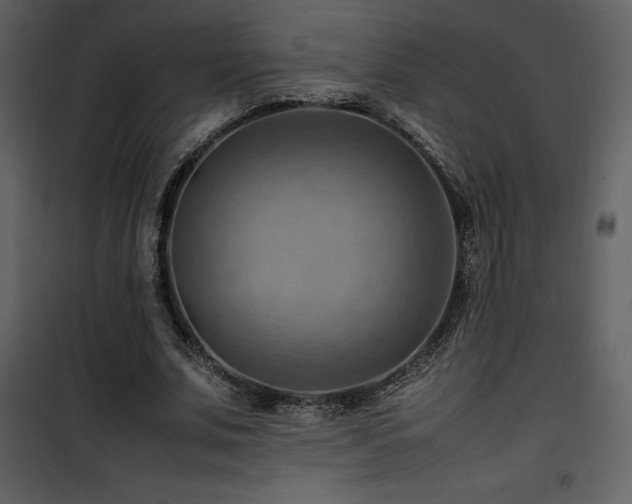 X0000102010679200807181229