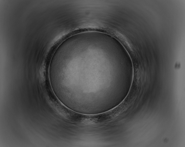 X0000102010680200807181229