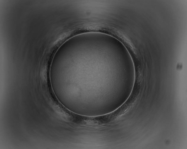 X0000102010681200807181229
