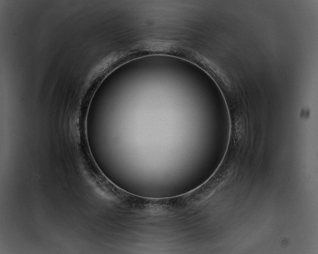 X0000102010682200807181229