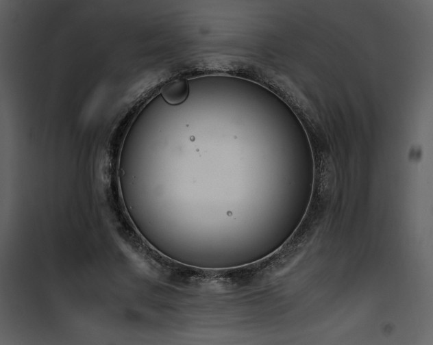 X0000102010683200807181229