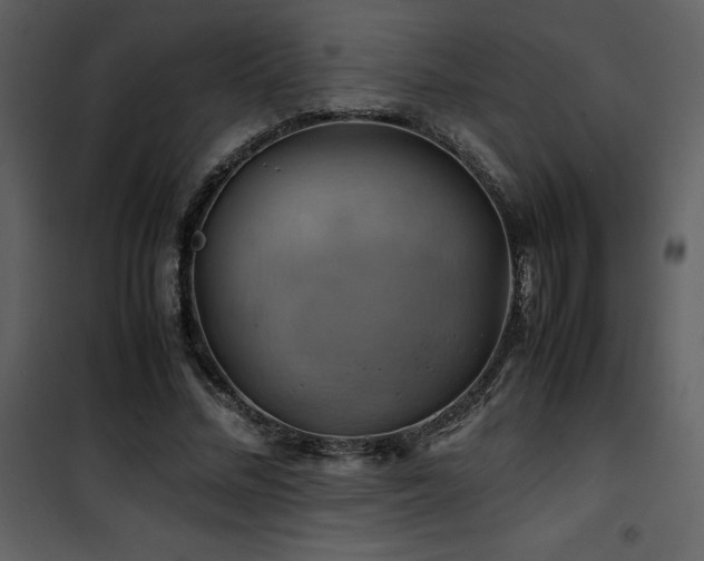 X0000102010684200807181229