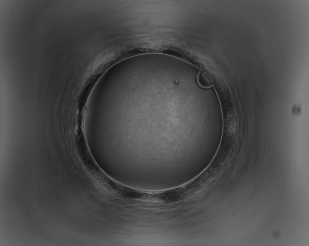 X0000102010685200807181229