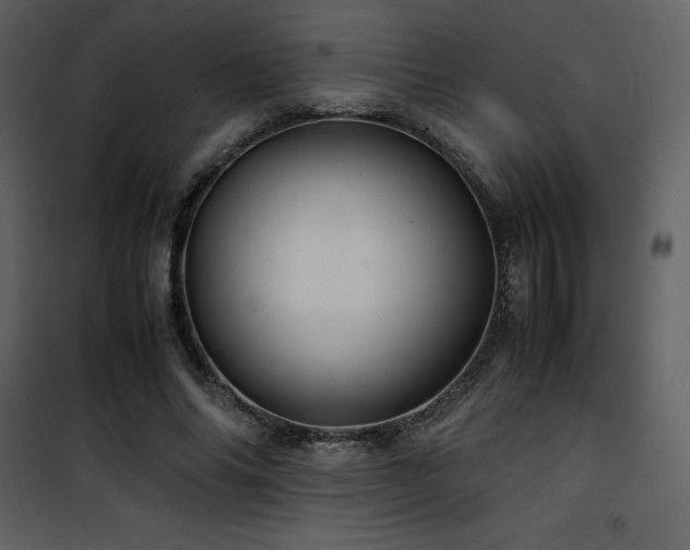 X0000102010686200807181228