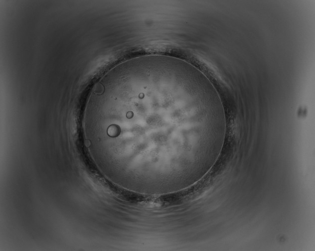 X0000102010687200807181228